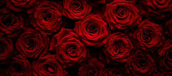 Love & Romance