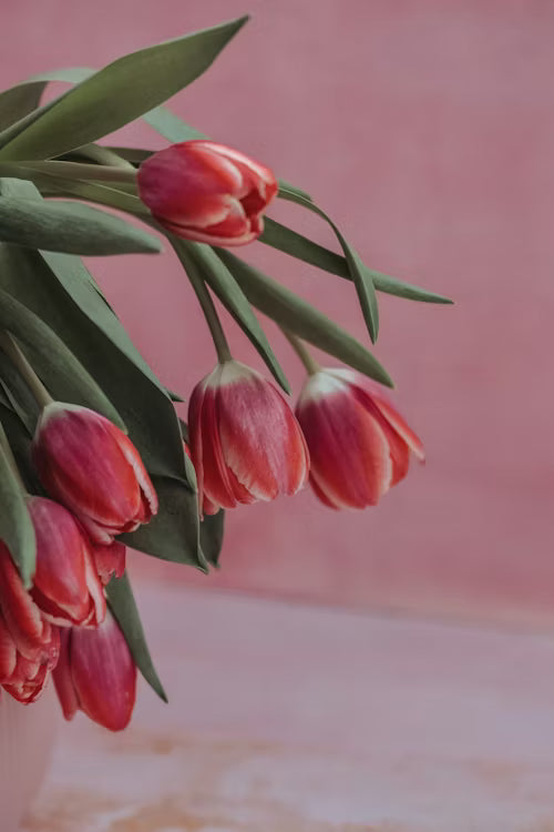 Premium Fresh Flower Bouquet